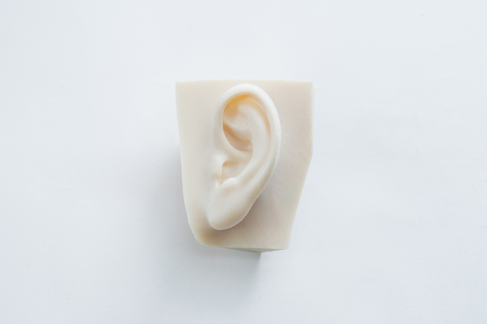 ear 01